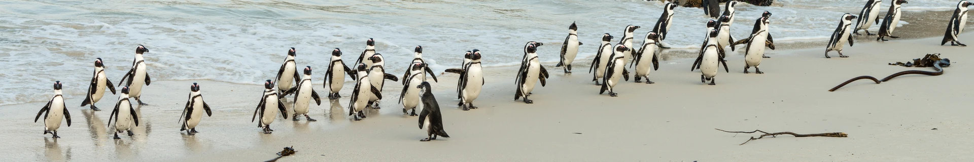 Южно-Африканская Республика