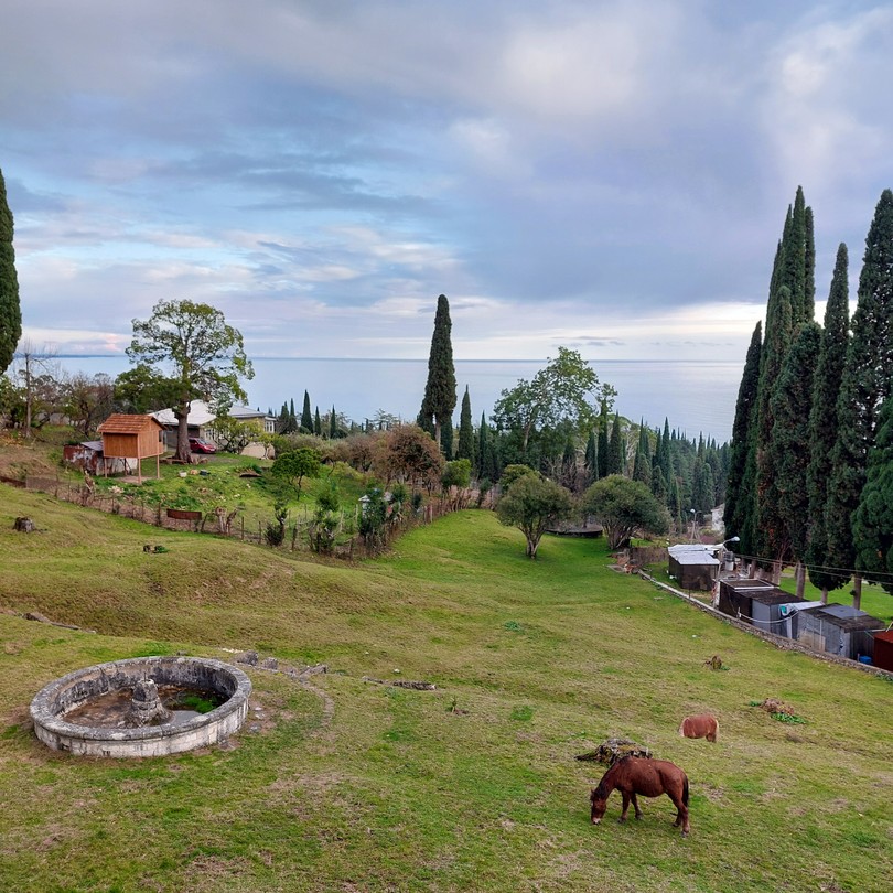 Гранд-путешествие по Абхазии: 4 города и озеро Рица (natali)
