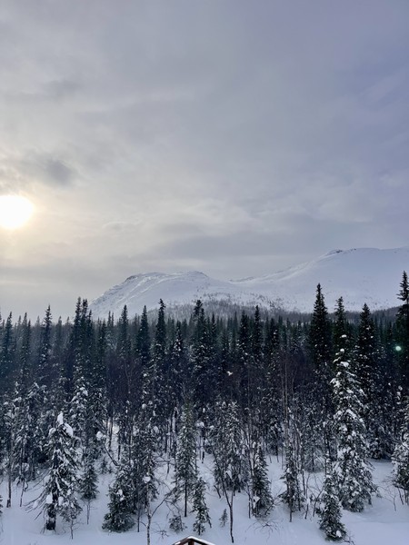 Супер поездка! Спасибо Максиму!