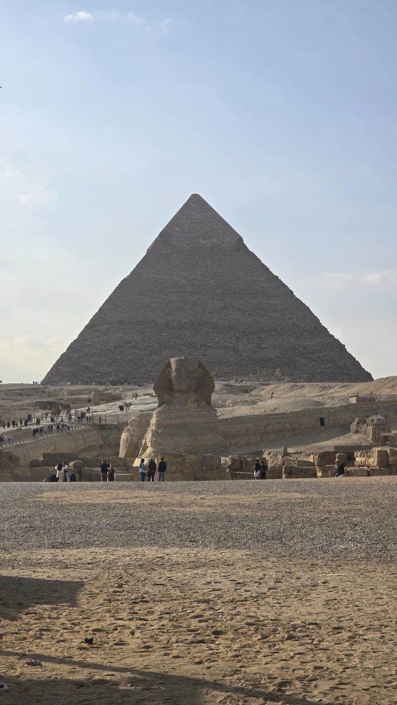 Внимание организатора 500%