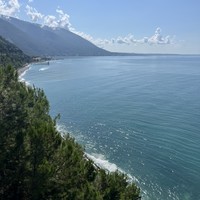 reviews img