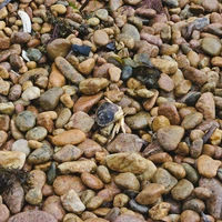 Фото отзыва 3: экскурсия "Из Владивостока — к местам обитания сивучей и тюленей"