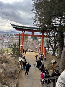 Фото отзыва 3: экскурсия "У подножья Фудзиямы (из Токио)"