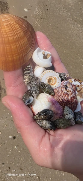 Поездка прошла легко, хорошая компания, гид, всё чётко организовано! Немного хотелось больше истории. Но все прошло на отлично!