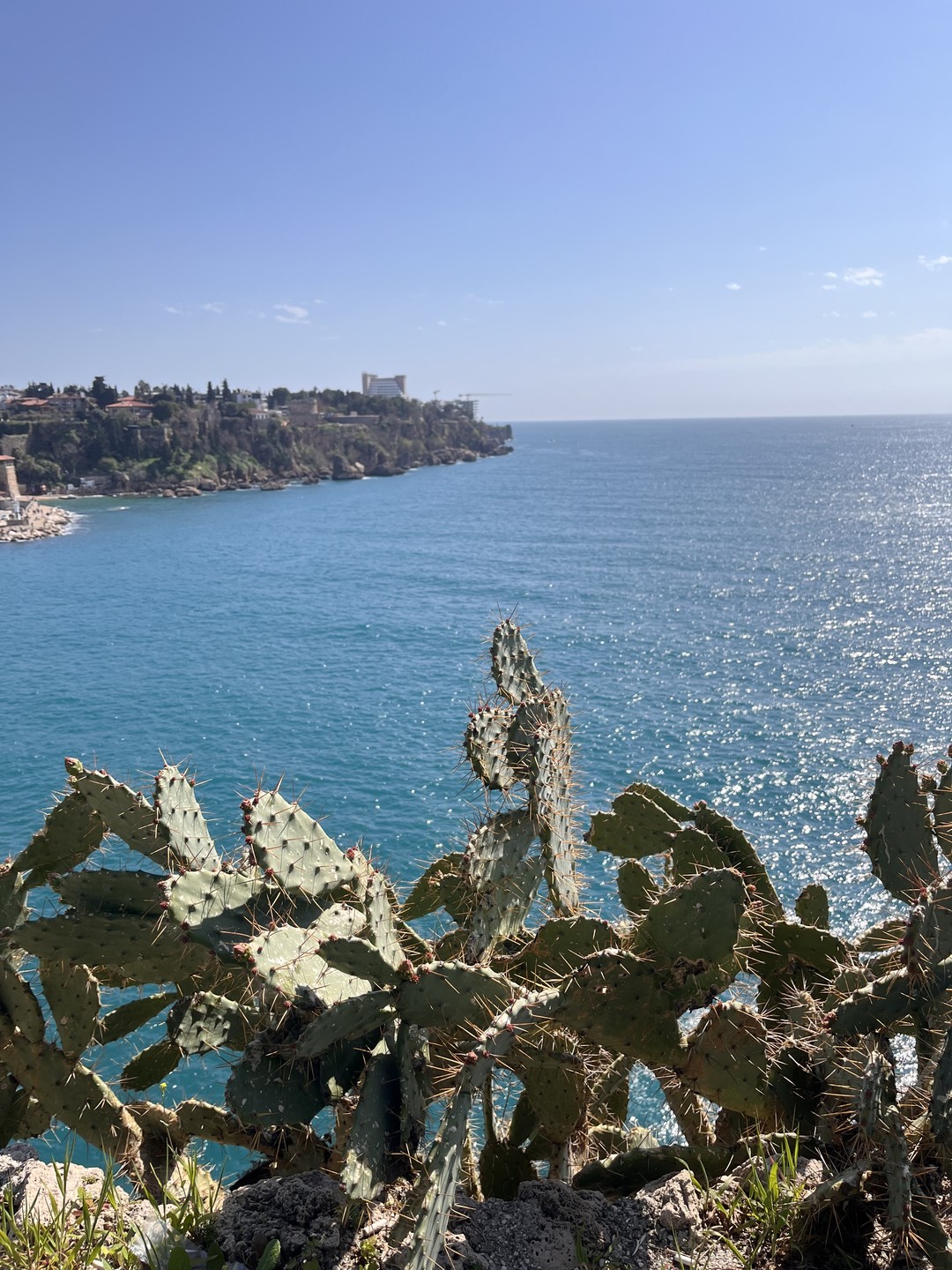 Спасибо большое Елене за чудесный день и экскурсию. Погуляли по самым красивым местам центра Антальи. У