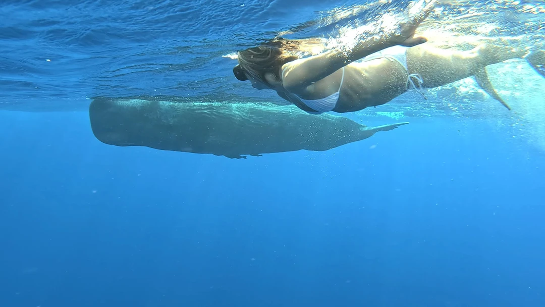 Путешествие было очень увлекательным, в 5 утра встречаешь на лодке рассвет, на Маврикии это особое удовольствие!