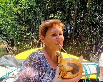 Прогулка на лодке среди мангрового леса, черепаховая ферма, лунный камень и форт Галле
