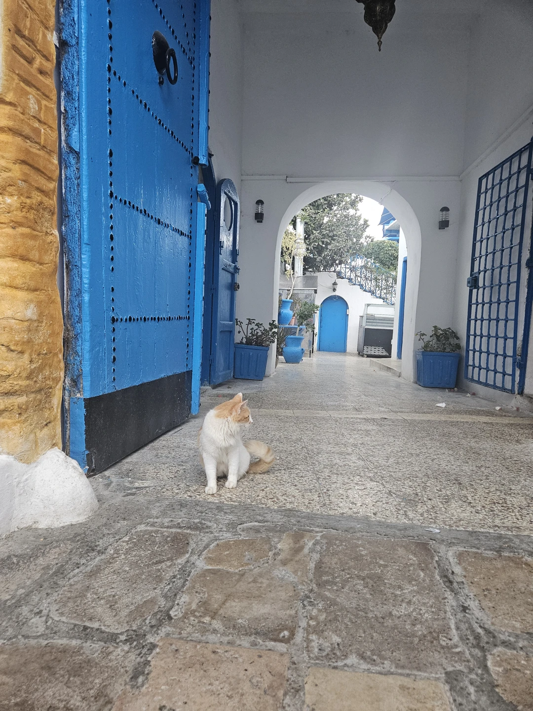 Смело ставлю оценку 5+! Всё прекрасно организовано, менеджер Алла всегда была оперативно на связи. Нас нужно