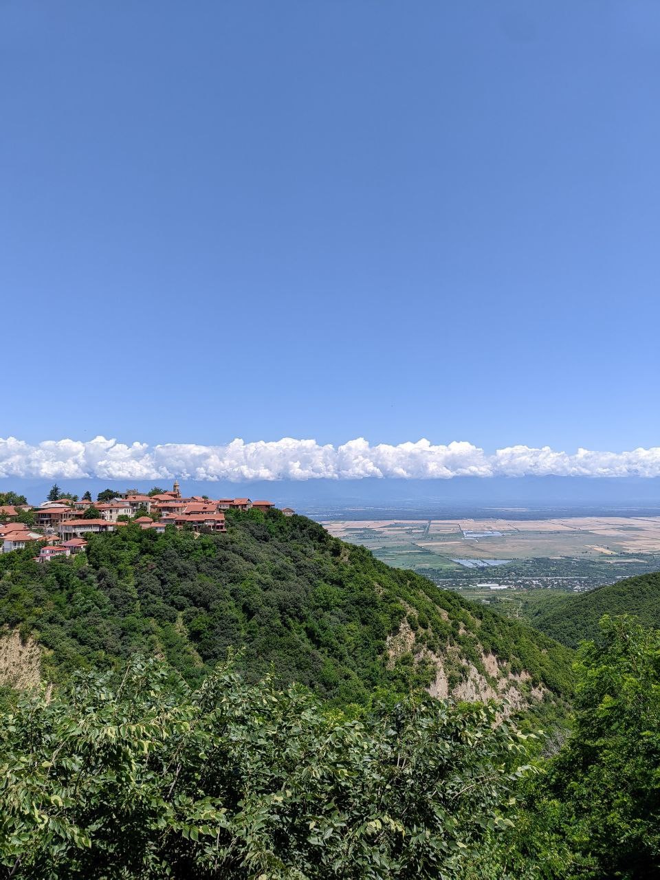 Кахетия: вино, история, адреналин (Наталья)