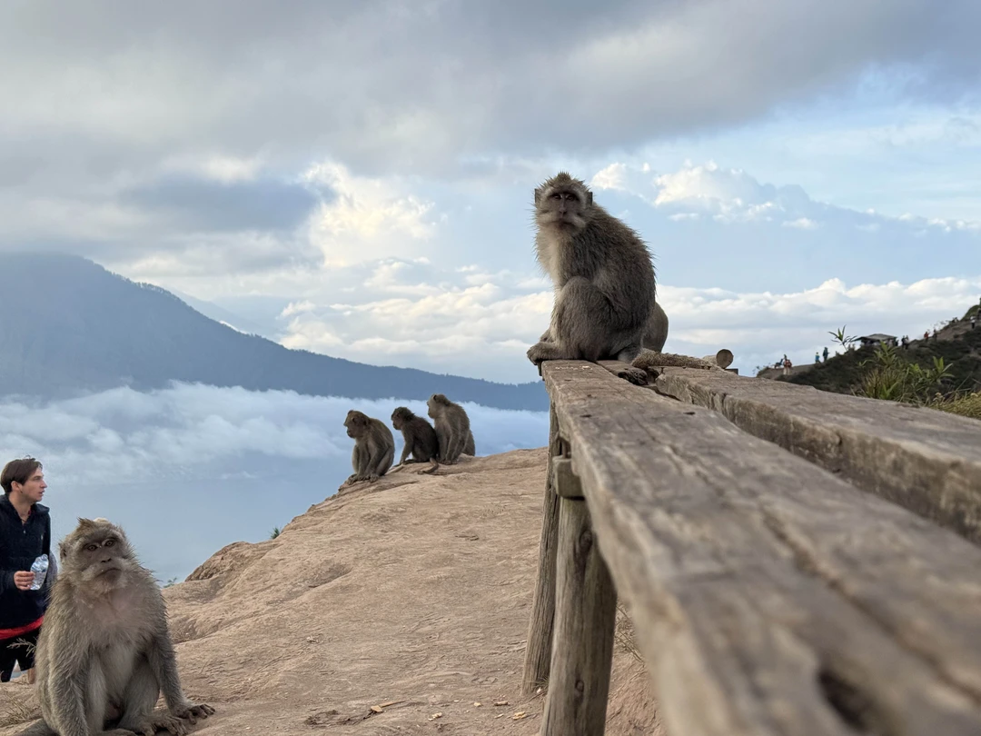 Восторг ❤️