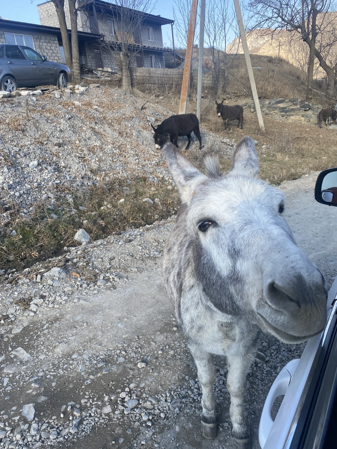 Были на экскурсии 27 ноября. Экскурсия полный восторг: Гид Николай выше всяких похвал, знание материала, интересные