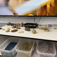 Фото отзыва 3: экскурсия "К курортам Светлогорск и Янтарный (с посещением янтарного производства)"