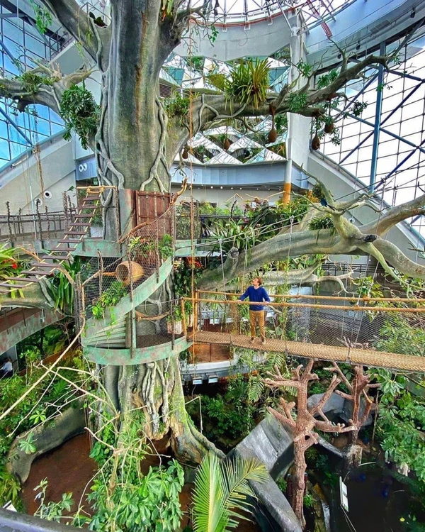 Трансфер в Dubai Safari Park и тропический лес Green Planet