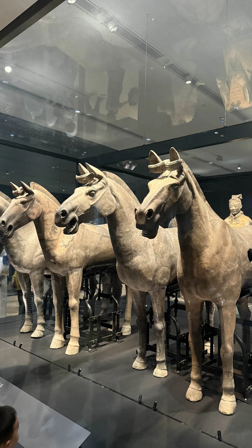 Я очень рада, что гидом была именно Алина! Спасибо большое за прекрасную прогулку, уже дала рекомендации своим друзьям!