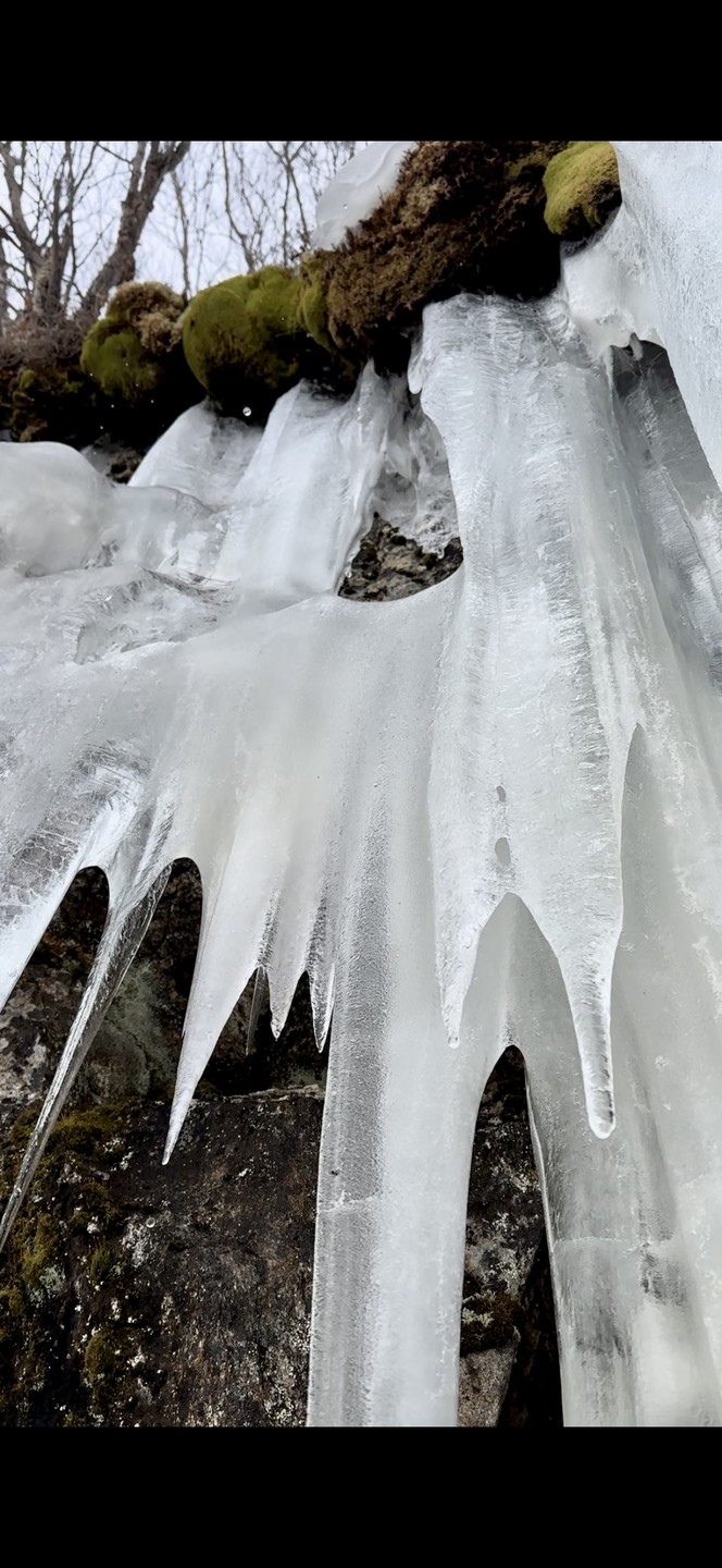 Все прошло отлично! 👍🏼 Первый опыт на снегоступах оставил неизгладимое впечатление) Для любителей долгих прогулок настоятельно