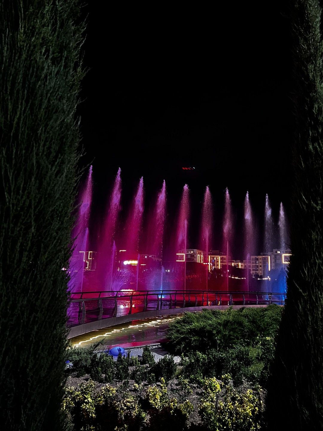 Огни ночного Ташкента (Ольга)