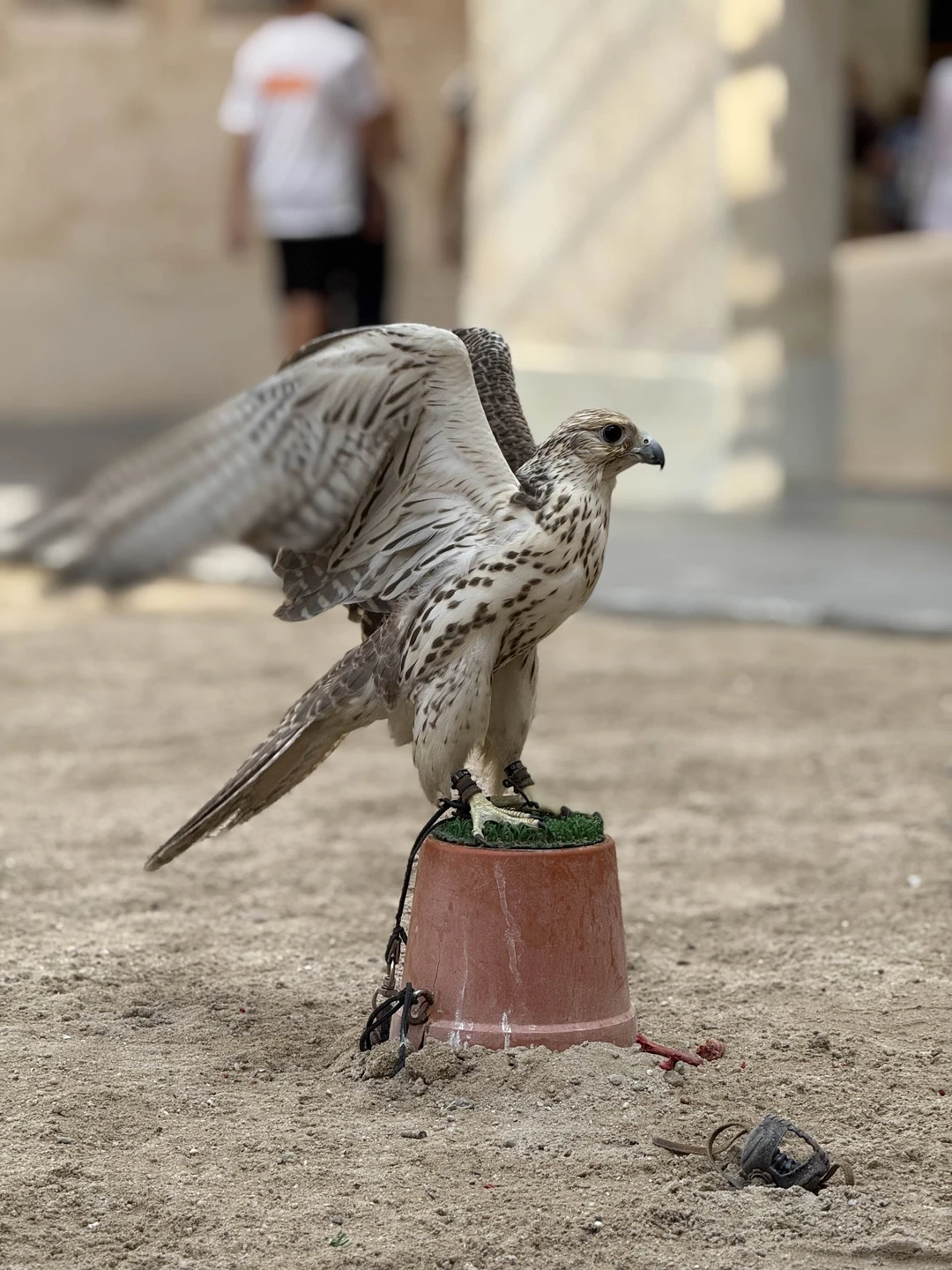 Экскурсию проводила Женя совместно с водителем Адли. Это гармоничная пара провела для нас невероятную экскурсию по