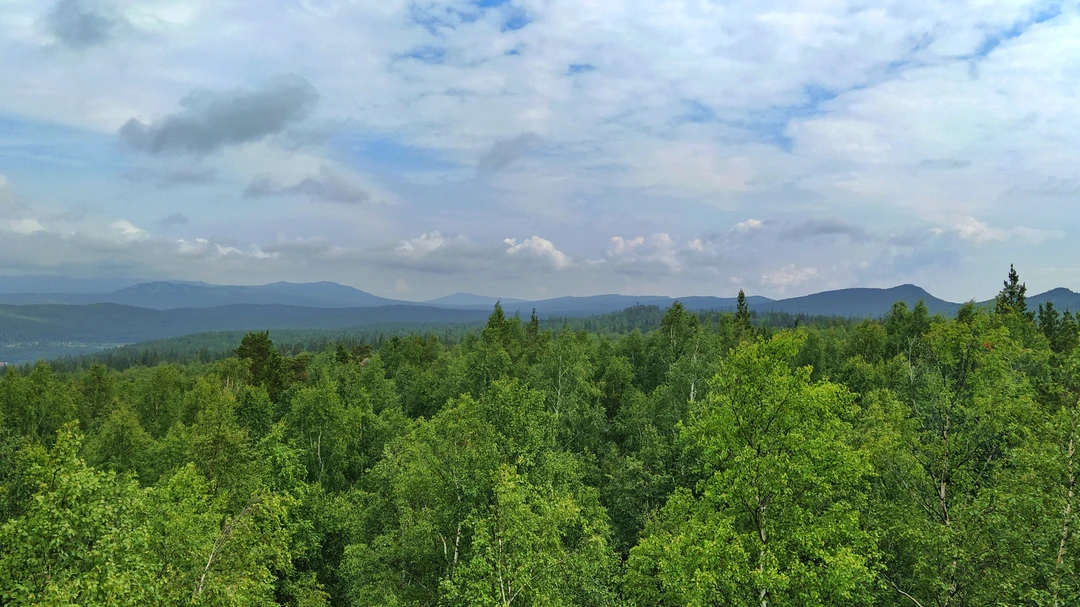 Согласно информации от организатора, сейчас ведутся дорожно-строительные работы, поэтому доступ к "Черной скале" закрыт до октября