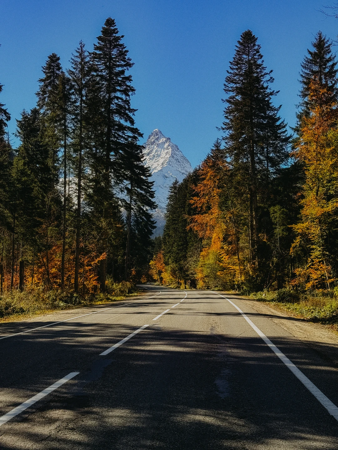 Джип-путешествие к необыкновенному урочищу Джилы-Су (Нина)
