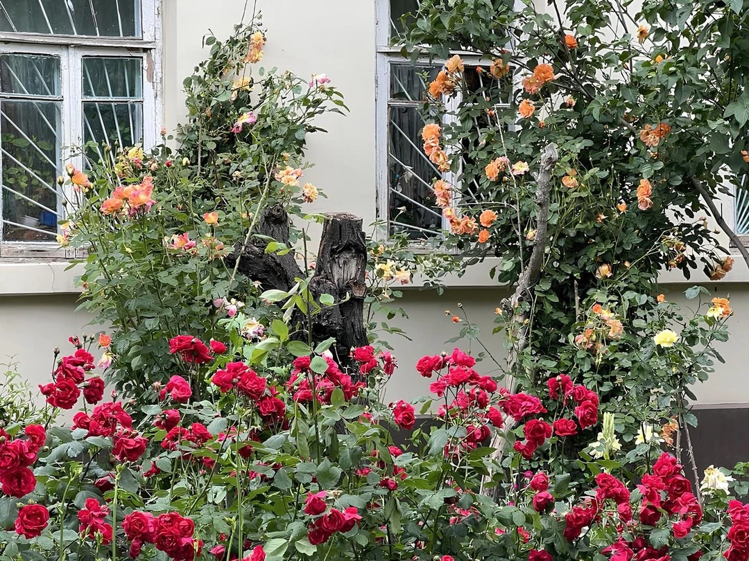 Кавказские Минеральные Воды