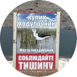 Яна