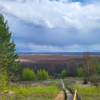 Фото отзыва 3: экскурсия "Тропою Ивана Сусанина"