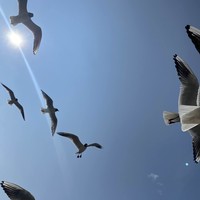 Фото отзыва 1: экскурсия "Выборгский замок — средневековая скандинавская цитадель"