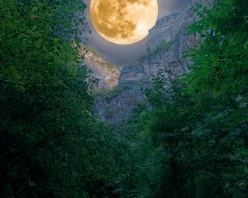 Зизикская теснина и экраноплан «Лунь»