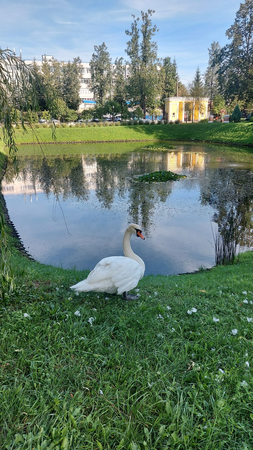 Еры и яти. Купцы и бурлаки (Анна)