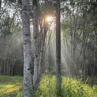 Фото отзыва 6: экскурсия "Пхукет all inclusive: приключения и комфорт"