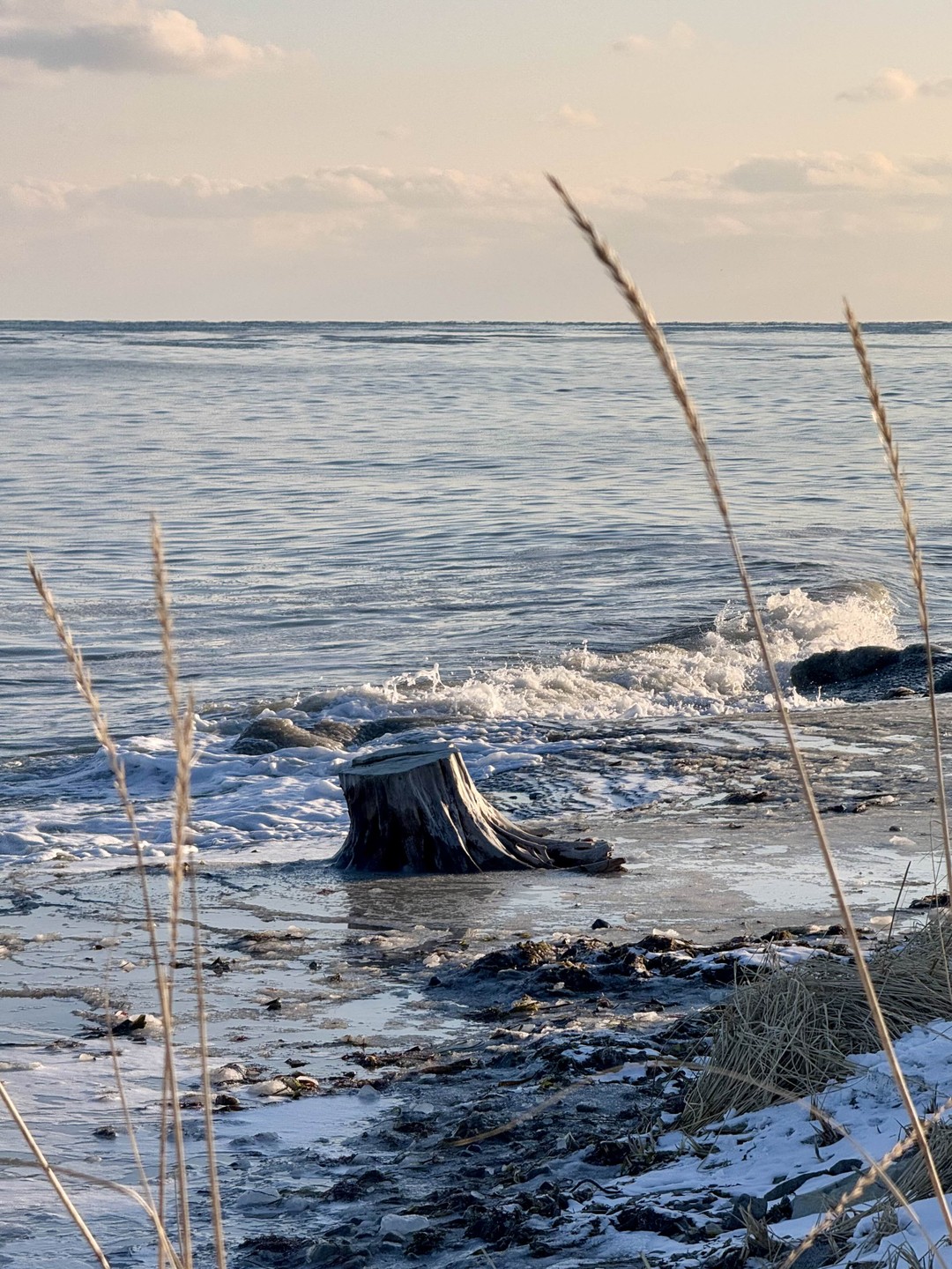 Открыть Сахалин: японские тории, Тихая бухта и Клоковский водопад. Индивидуальная экскурсия (Екатерина)