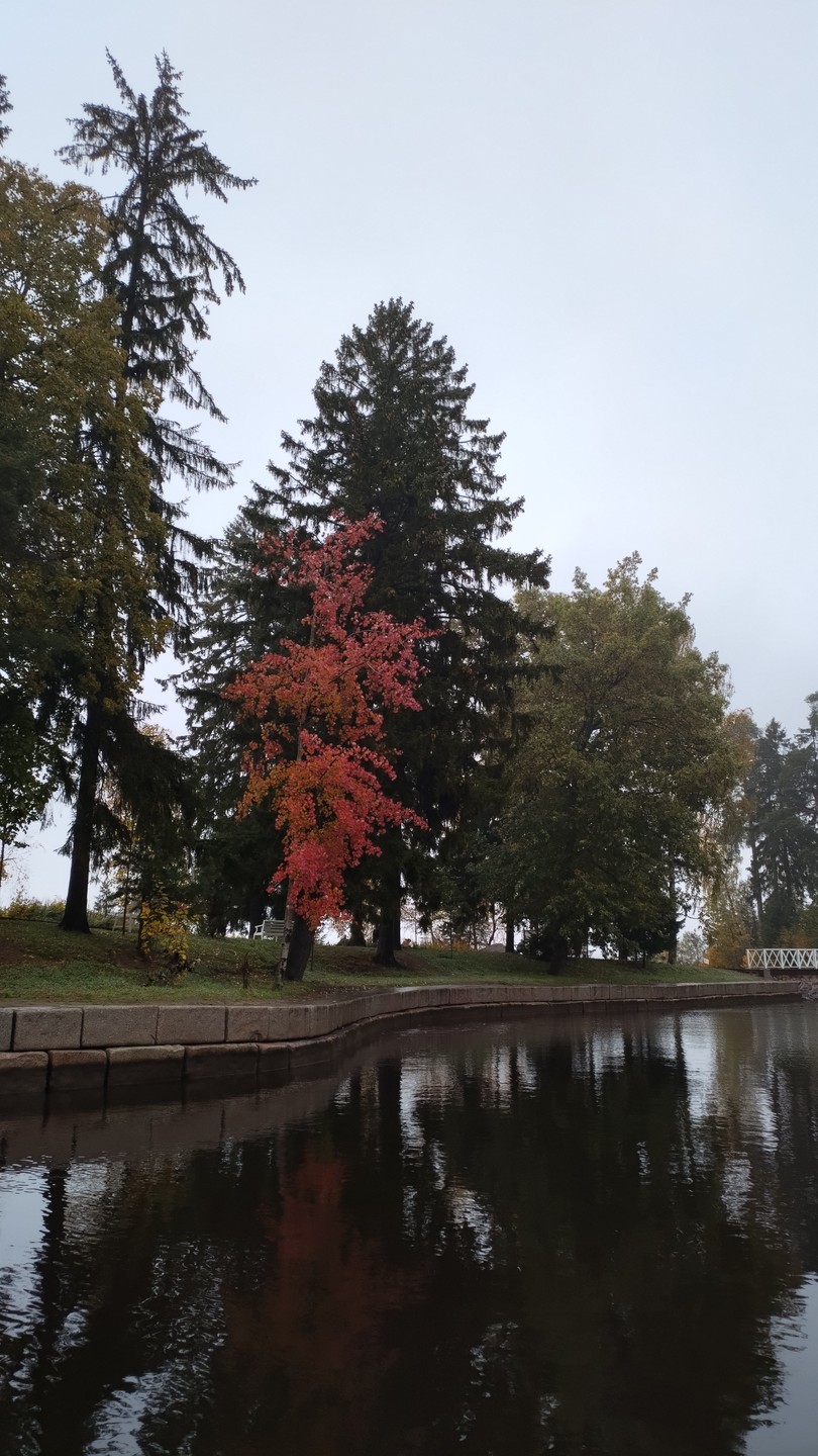 Вдоль берегов Выборга и парка Монрепо - на скоростном катере в мини-группе (Лариса)