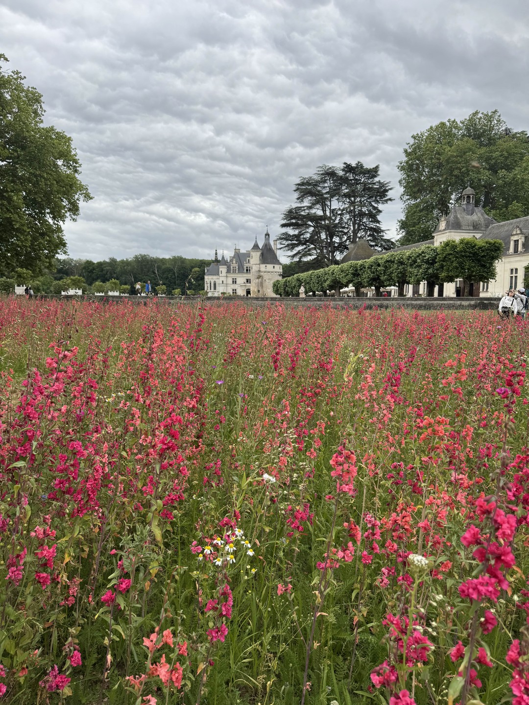 Delighted with the trip to the castles of the Loire Valley! Guide Olga and driver Alex