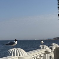 Фото отзыва 1: экскурсия "Петергоф и Кронштадт на автомобильной экскурсии"