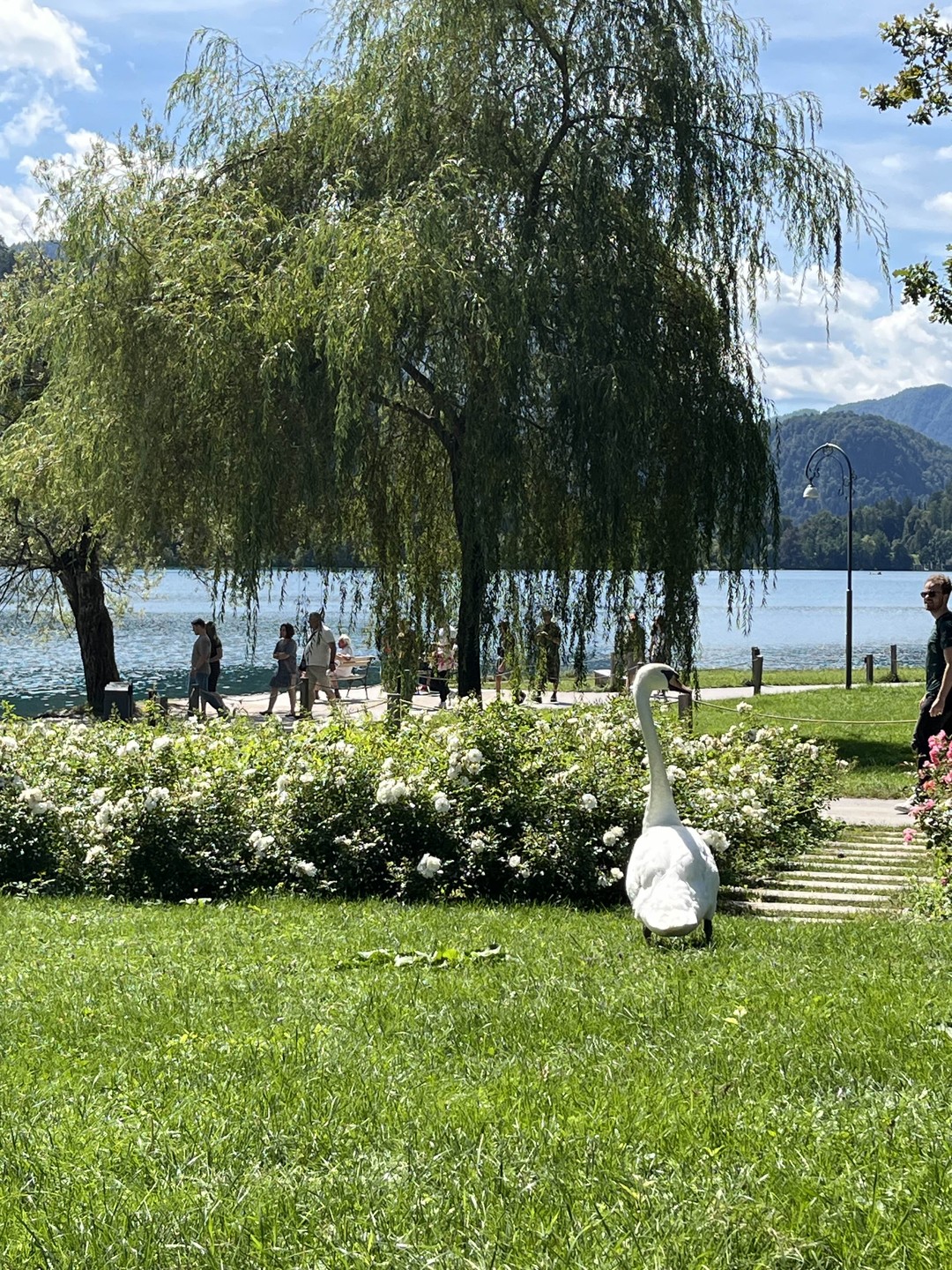 Очень рады, что попали на эту экскурсию!