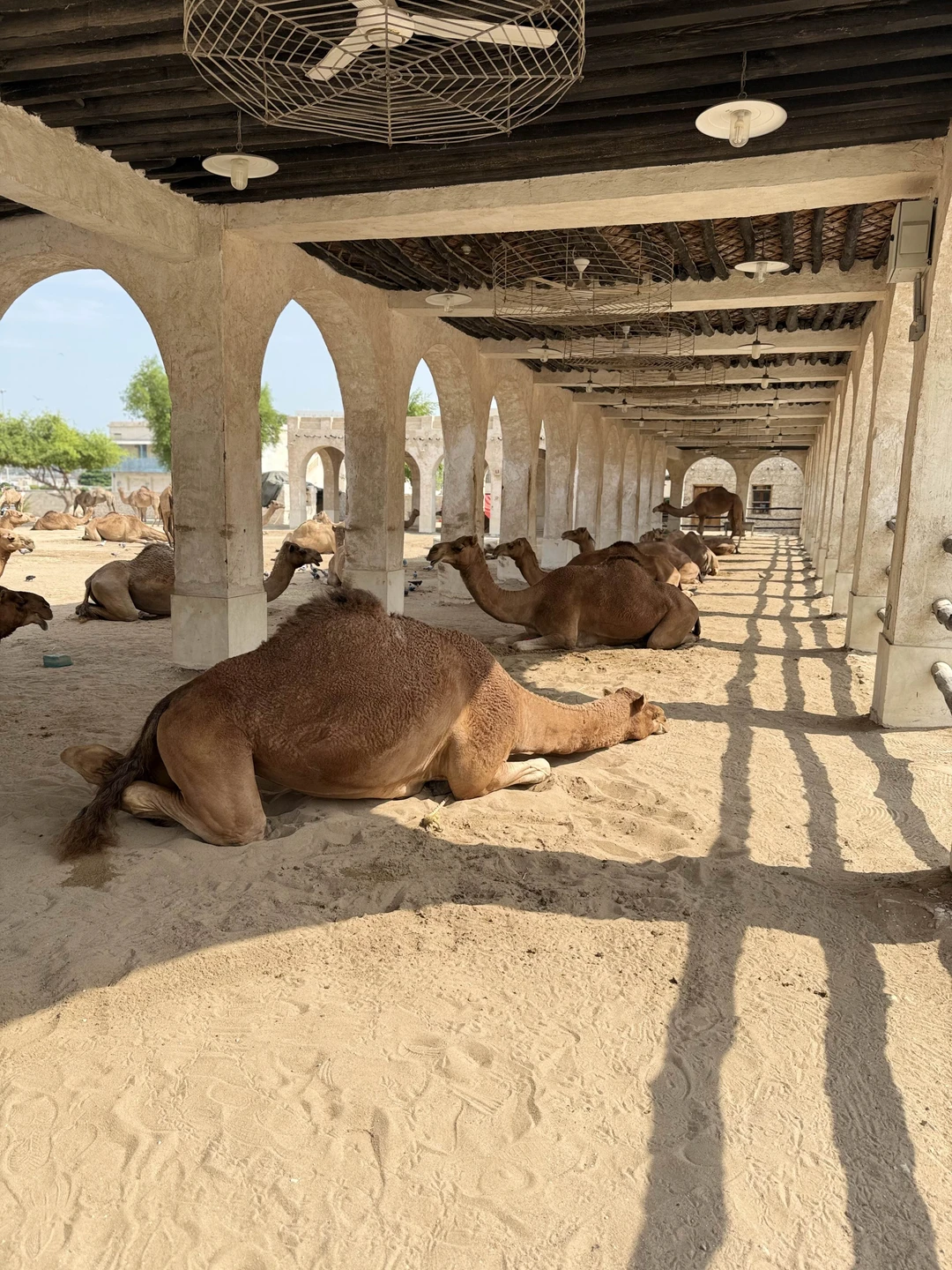 Экскурсию проводила Женя совместно с водителем Адли. Это гармоничная пара провела для нас невероятную экскурсию по