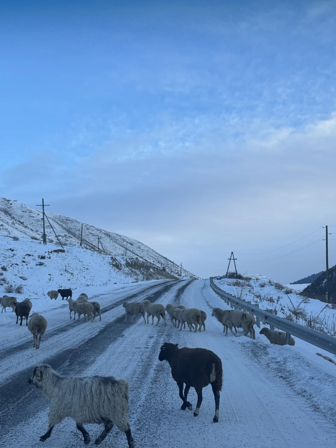 Спасибо большое гиду Дмитрию за шикарный тур!