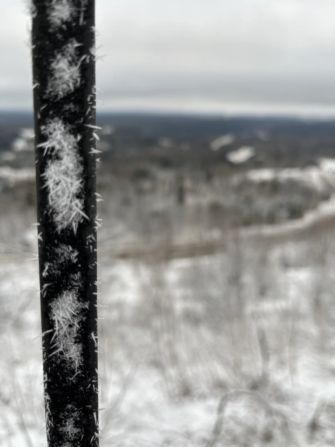 Все прошло отлично