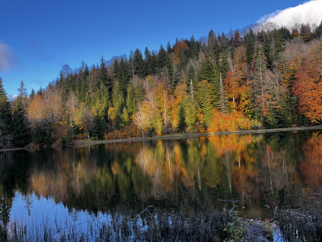 Для тех, кто любит природу в любую погоду. Великолепие видов завораживает. Сквозь облака к горным озерам,