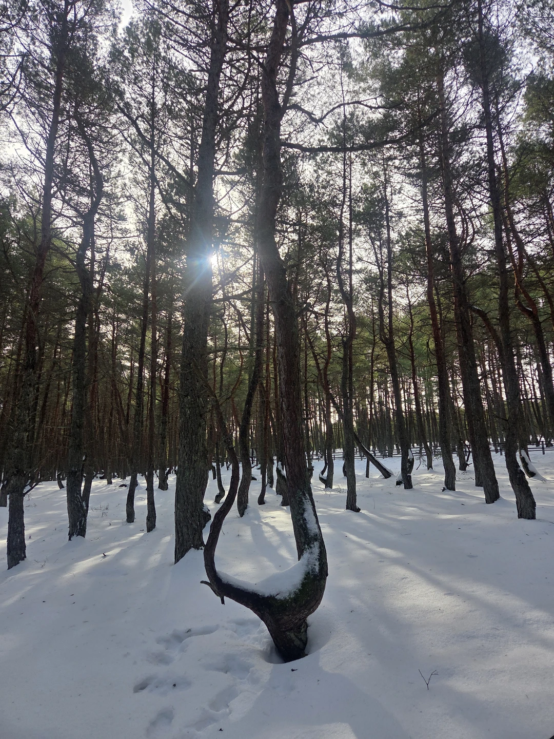 Экскурсия ооочень понравилась, все было замечательно, и с погодой повезло)
