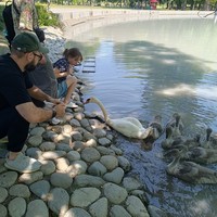 Фото отзыва 3: экскурсия "Владикавказ: архитектура, культура, городские истории"