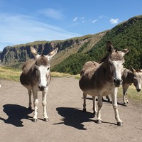Фото отзыва 5: экскурсия "В&nbsp;гости к&nbsp;сусликам Джилы-Су"