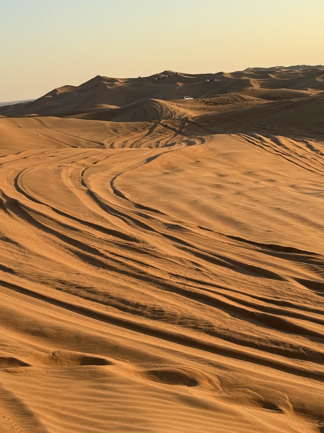 Отличное путешествие! Фида, наш водитель, просто супер!!!! Очень вежлив, галантен! Обязательно вернусь снова!!!