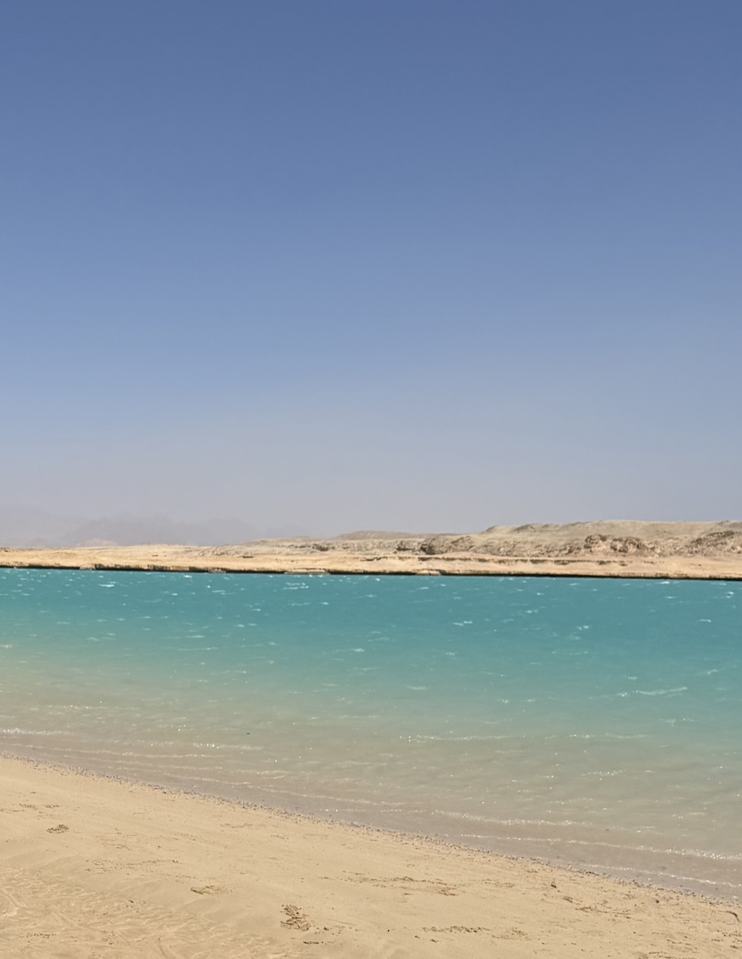 Экскурсия в заповедник Рас-Мохаммед оставила очень яркие впечатления. Огромная благодарность гиду Махмуду за отличную организацию и