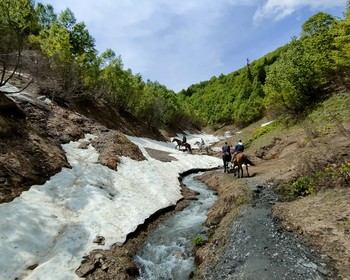 Подъём на хребет Ацетука на лошадях и Аджарский водопад