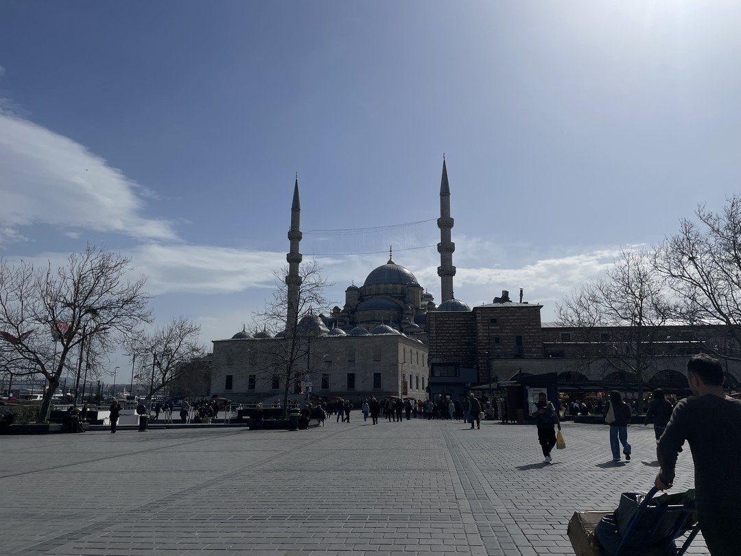 Очень интересная экскурсия для тех, кто впервые в Стамбуле и хочет посмотреть главные достопримечательности