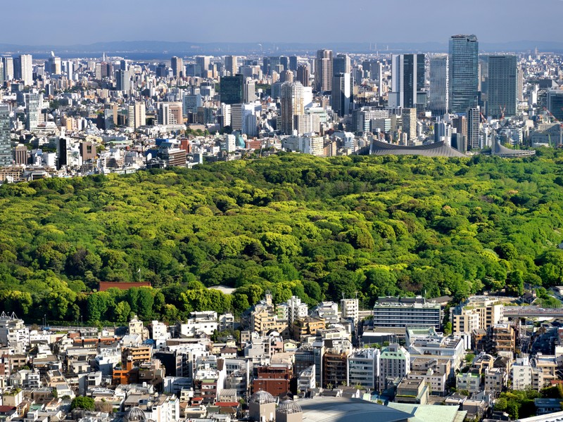 Токио: от священного леса до неоновых фантазий