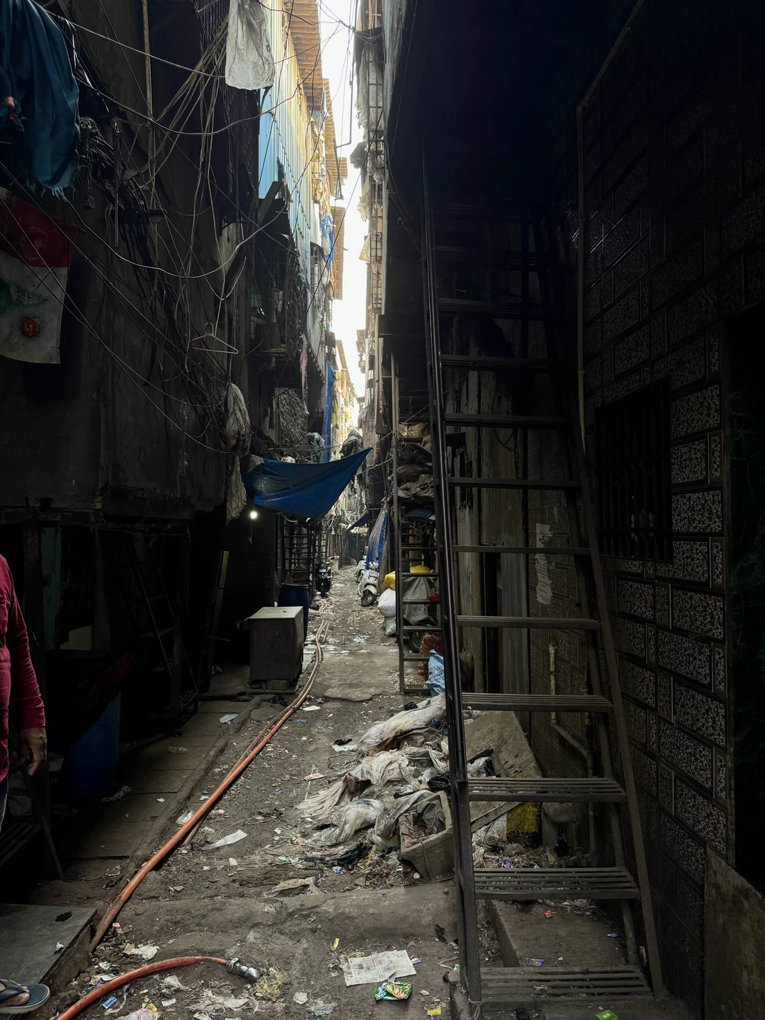 Однозначно рекомендую посетить Мумбаи! Нам удалось сделать это одним днём: утром мы прилетели из южного Гоа