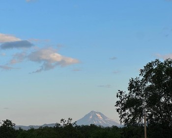 Свободный день