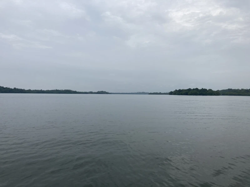 отличная экскурсия. река новый опыт. фермы с животными и обед на отлично. всем рекомендую